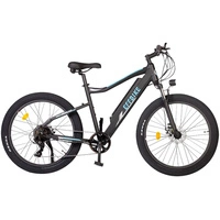 Rower elektryczny Allegro City Cruiser Ebike 500W 36V 13Ah