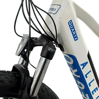 Rower elektryczny Allegro City Cruiser Ebike 500W 36V 13Ah