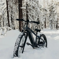 Rower elektryczny Himiway D5 Zebra High-Step - moc 250 W | akumulator 20 Ah | prędkość 15,5 km/h | zasięg 80 mil