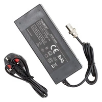 Ładowarka Fast Nami Klima 2A 5A