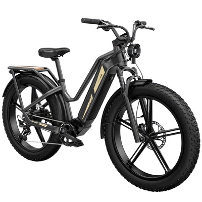 Rower elektryczny Fiido Titan - moc 750 W | akumulator 14,5 Ah | prędkość 28 mil na godzinę | zasięg 248 mil