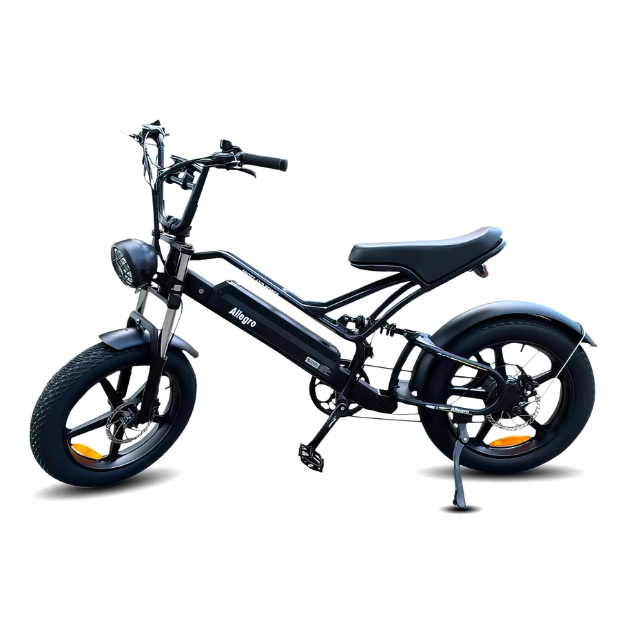 Allegro City Chopper Hamulec hydrauliczny 30 mph Rower elektryczny z pełnym zawieszeniem