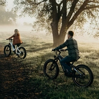 Rower elektryczny Himiway D5 Zebra High-Step - moc 250 W | akumulator 20 Ah | prędkość 15,5 km/h | zasięg 80 mil